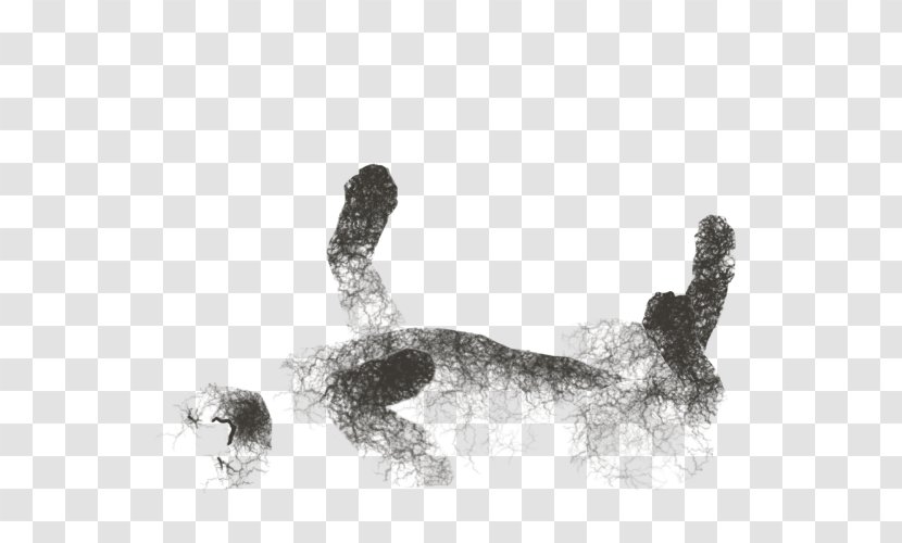 /m/02csf Drawing H&M Black Animal - And White - Cobweb Transparent PNG
