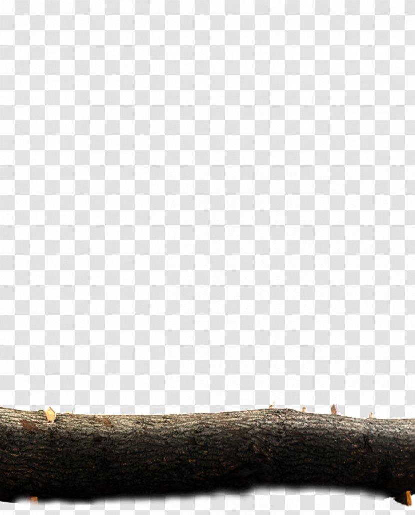 Wood /m/083vt Tree - Grass Transparent PNG