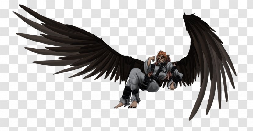 Eagle Vulture Beak Feather Transparent PNG
