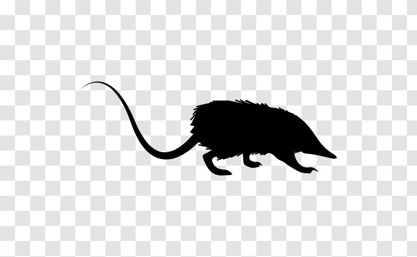 Rat Cat Mouse - Mammal - & Transparent PNG