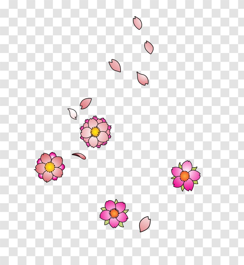 Cherry Blossom Drawing Flower Transparent PNG