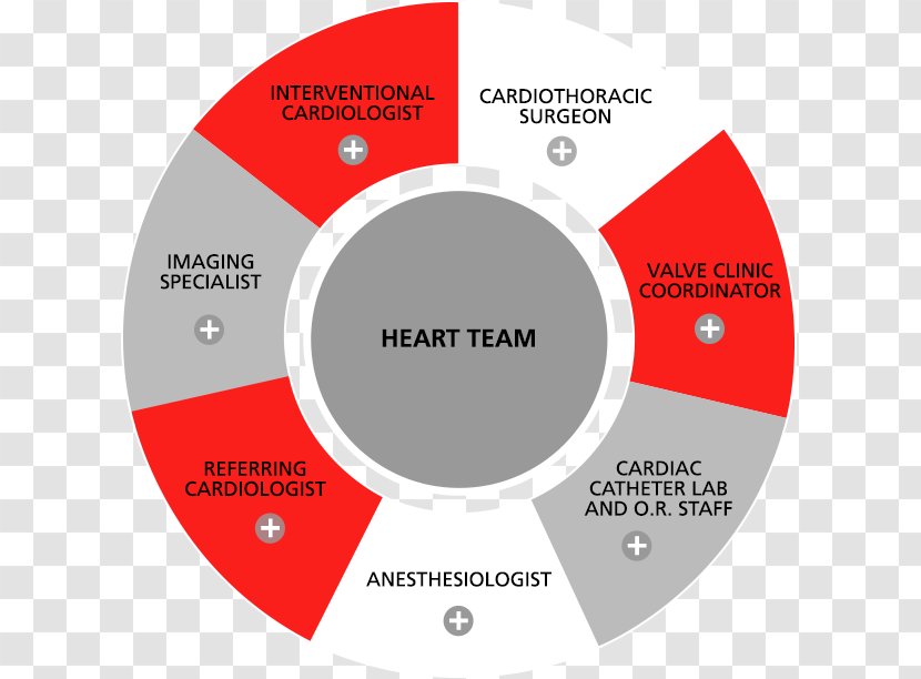 Percutaneous Aortic Valve Replacement Heart Cardiology Team - Area Transparent PNG