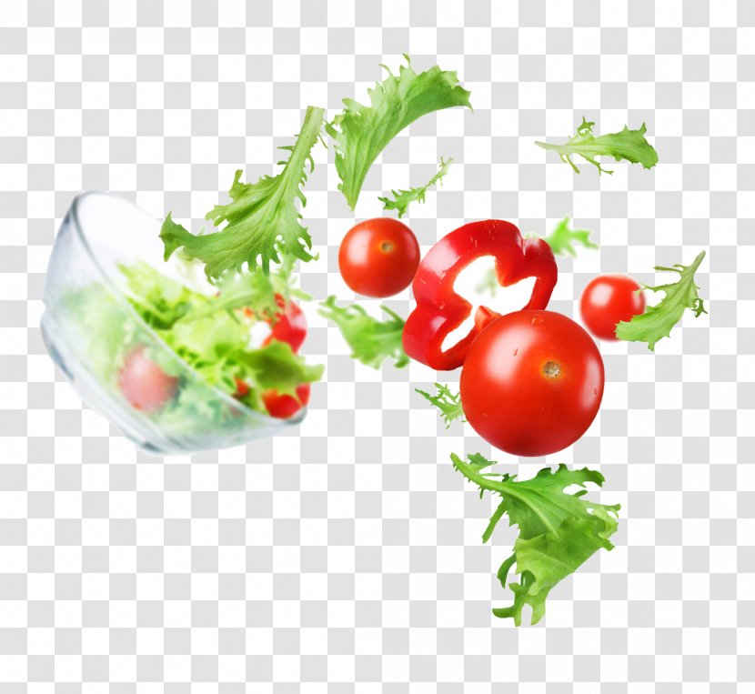 Vegetable Food Tomato Dish - Nutrition Transparent PNG