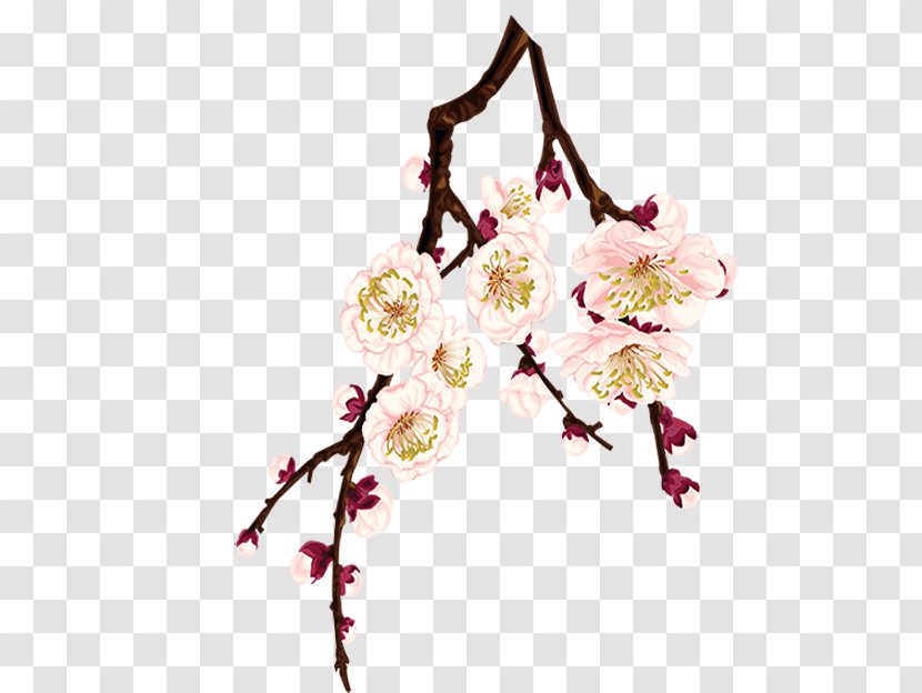 Plum Blossom Flower - Floral Design Transparent PNG