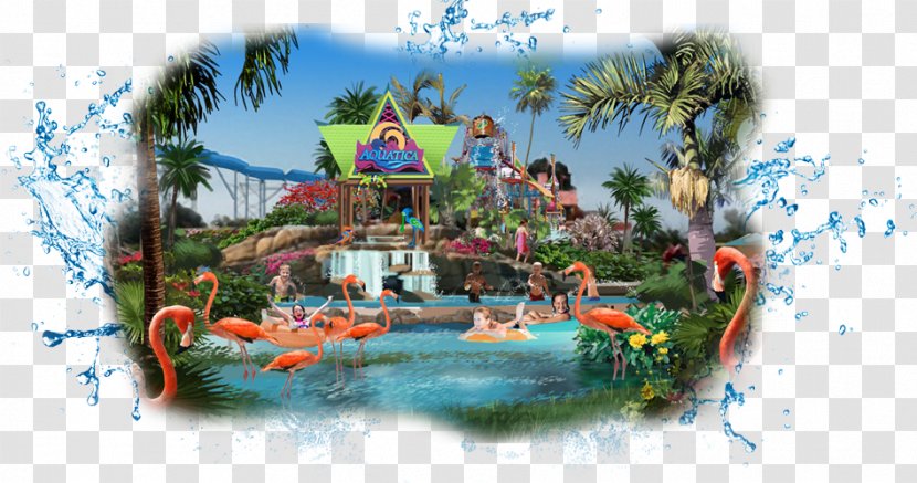 SeaWorld San Diego Water Park Antonio Orlando Aquatica - Recreation - Hotel Transparent PNG