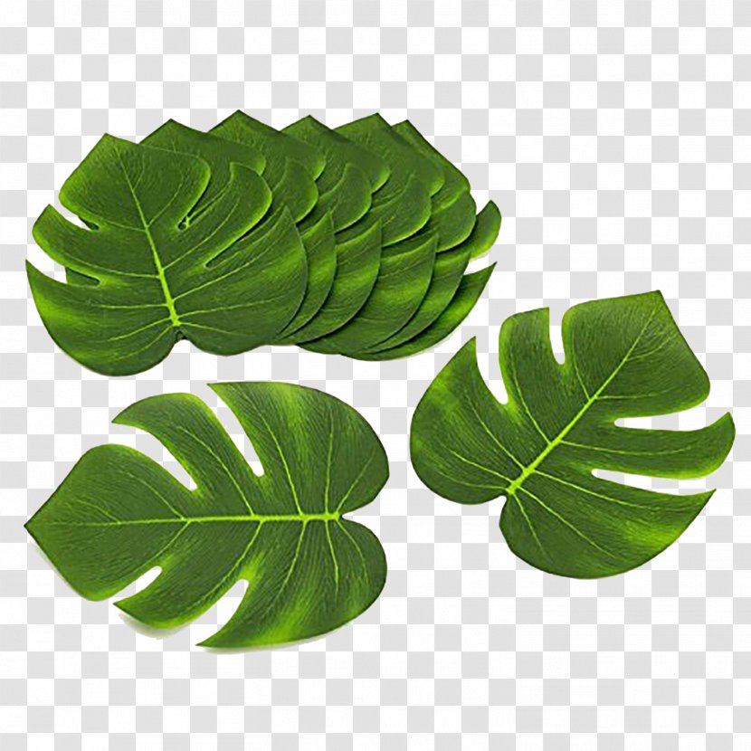 Cuisine Of Hawaii Luau Textile Party Arecaceae Transparent PNG