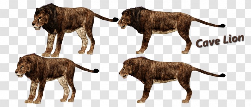 Panthera Leo Spelaea American Lion Zoo Tycoon 2 Felidae Cave - Smilodon Populator - Stone Age Transparent PNG