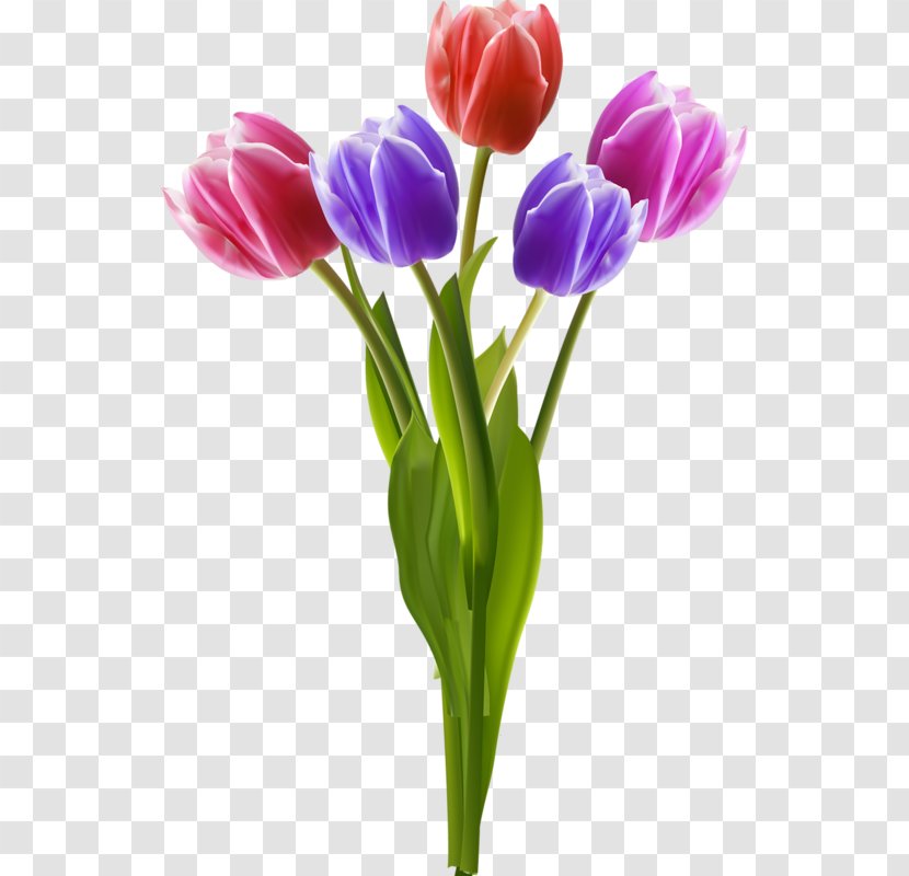 Vase Flower Bouquet Clip Art - Stock Photography - Hand-painted Tulip Transparent PNG