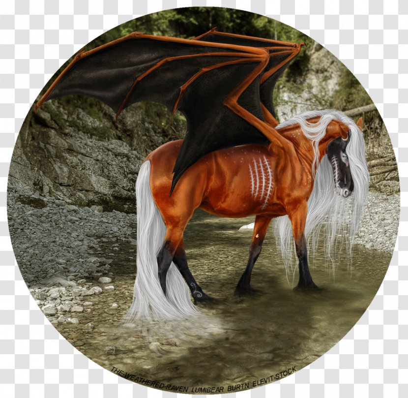 Horse Winged Unicorn Art Drawing - Deviantart Transparent PNG