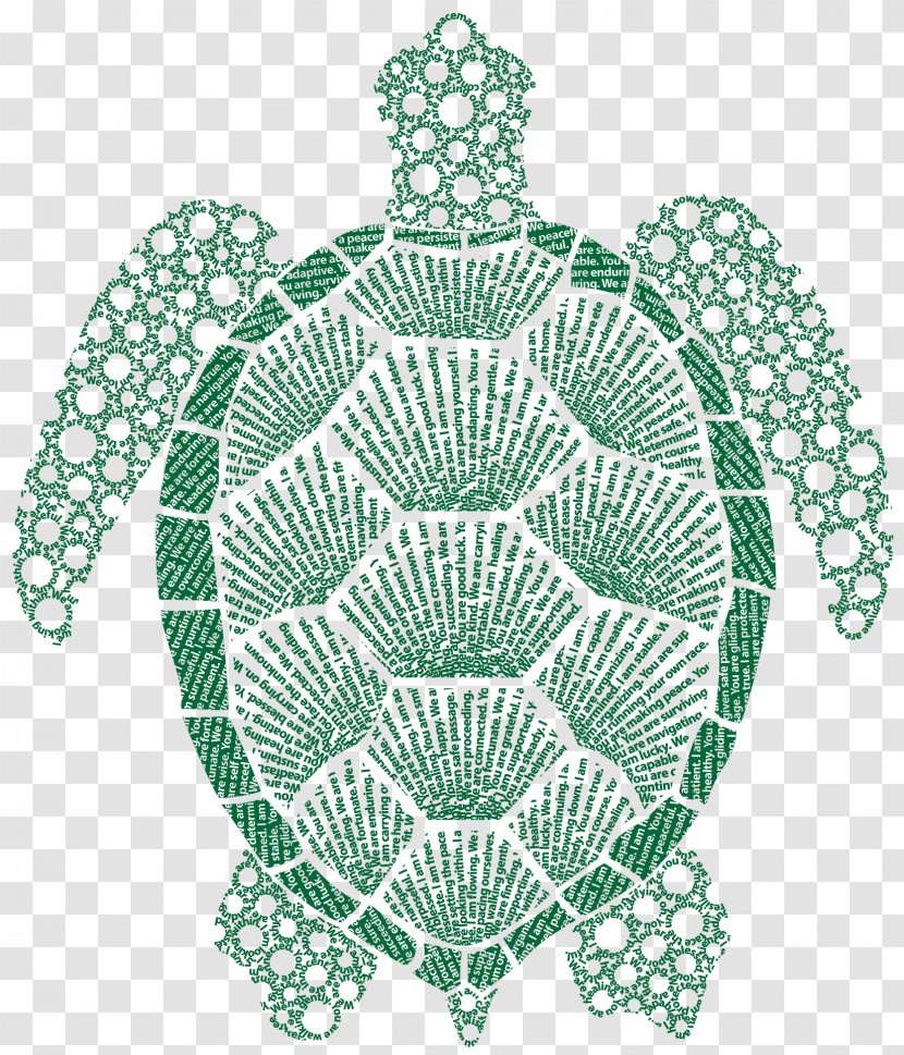 Tortoise Doily Sea Turtle Place Mats - Organism - Green Transparent PNG