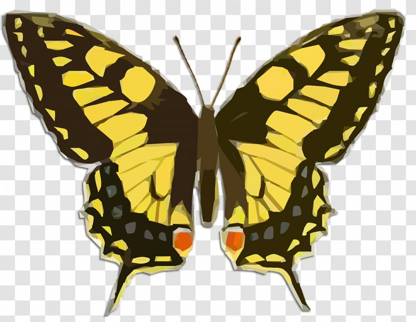 Swallowtail Butterfly Insect Clip Art - Wing Transparent PNG