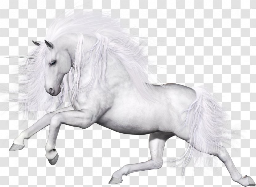 Unicorn Horse Pegasus Applejack - White Transparent PNG