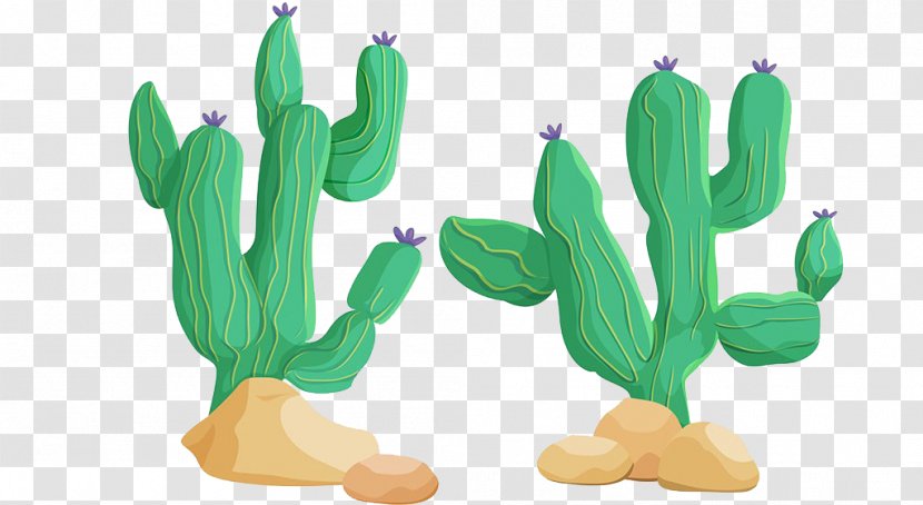 Pilosocereus Stock Photography Illustration - Flowering Plant - Cactus Painted Transparent PNG