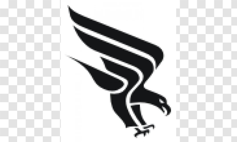 Car Beak Falcon Airplane Bird - Eagle Transparent PNG