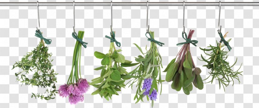 Herb Food Drying Vegetable Thyme - Spice Transparent PNG