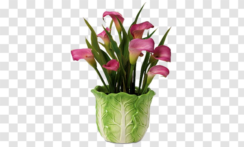 Floral Design Arum-lily Cut Flowers Calyx & Corolla, Inc. - Plant - Flower Transparent PNG