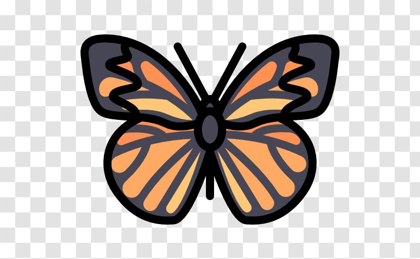 Monarch Butterfly Clip Art - Pieridae - Artwork Transparent PNG