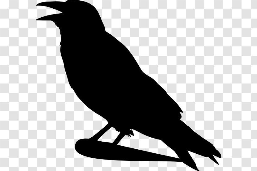 Bird Crow Silhouette Clip Art - Wildlife Transparent PNG