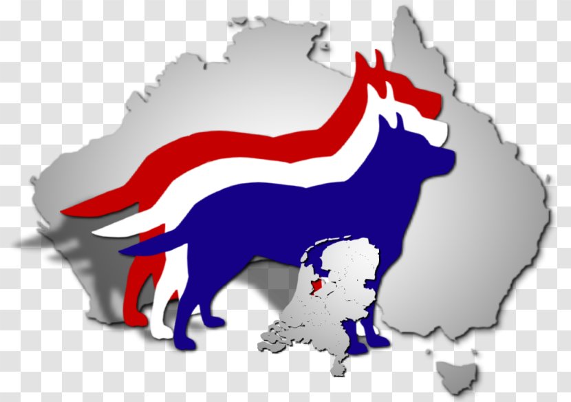 Australian Cattle Dog Canidae Dutch Kennel Club Cynology - Netherlands Transparent PNG