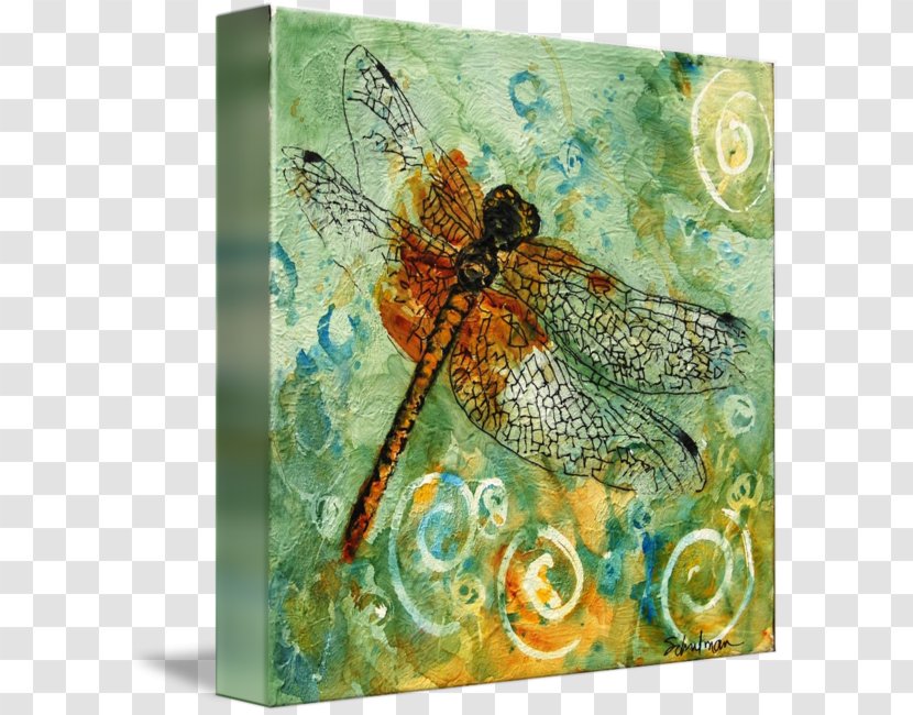 Honey Bee Art Gallery Wrap Canvas - Invertebrate Transparent PNG