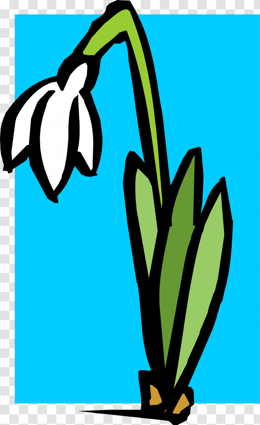 Plant Flower Transparent PNG