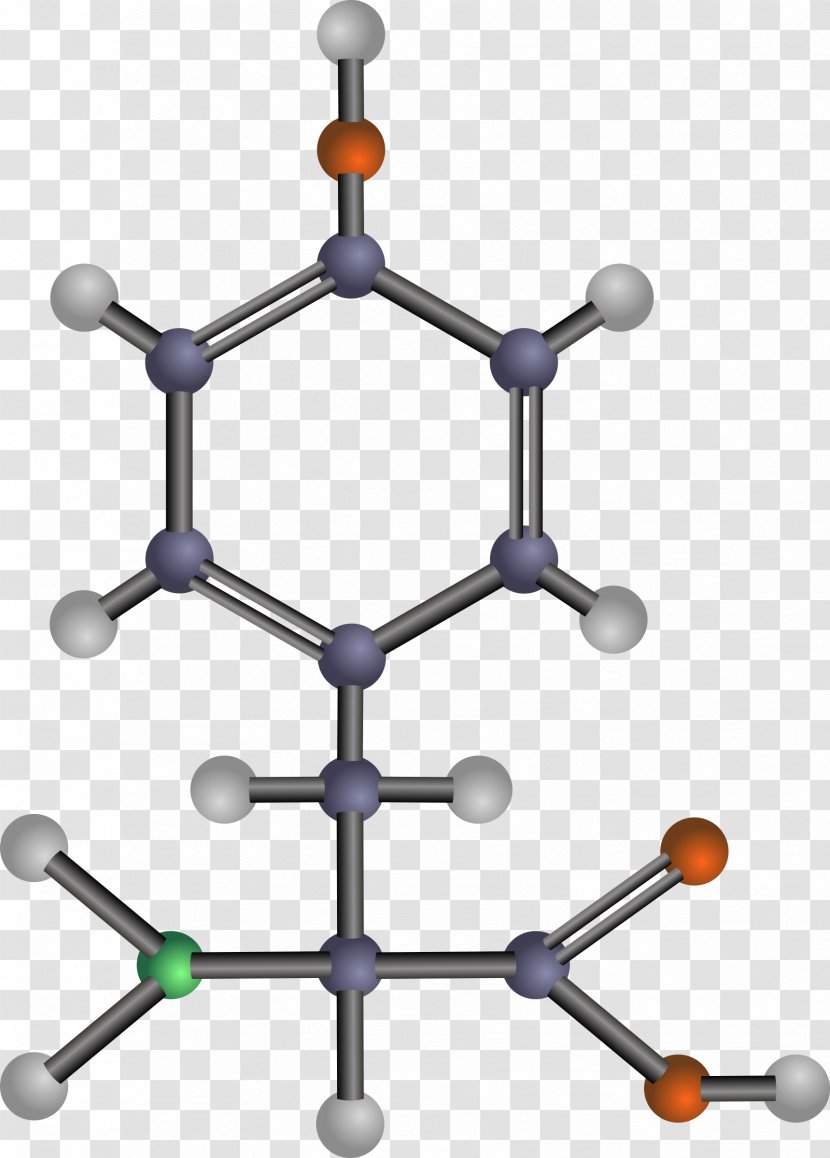 Essential Amino Acid Valine Clip Art - DNA Transparent PNG