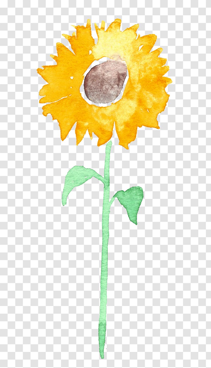 Common Sunflower Love Letters In The Wall Clip Art - Plant Stem - Yellow Transparent PNG