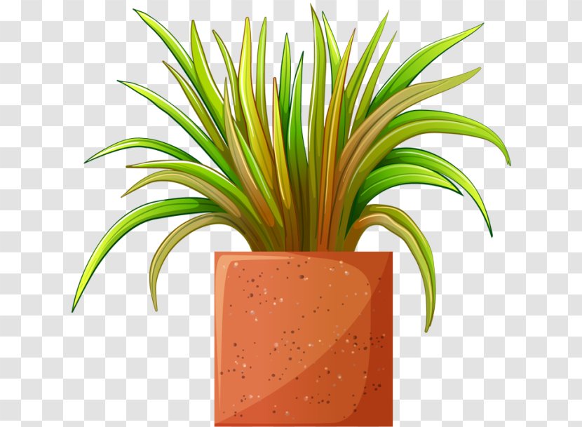 Clip Art Flowerpot Houseplant Illustration - Grass Family - Teddi Transparent PNG