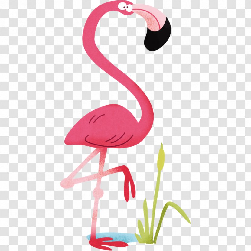 Sticker Child Mural Wall Decal Room - Greater Flamingo - Animal Zoo Transparent PNG