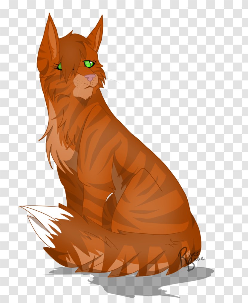 Whiskers Kitten Tabby Cat Canidae - Like Mammal Transparent PNG