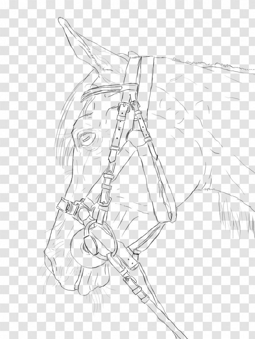 Arabian Horse Line Art Mustang Drawing Sketch - Joint Transparent PNG