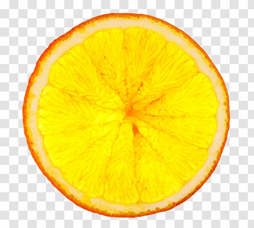 Orange Juice Tequila Sunrise Vegetarian Cuisine - Fruit - Grapefruit Transparent PNG