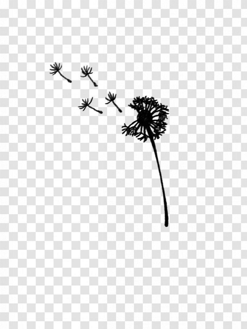Dandelion Black And White Drawing - Flowering Plant Transparent PNG