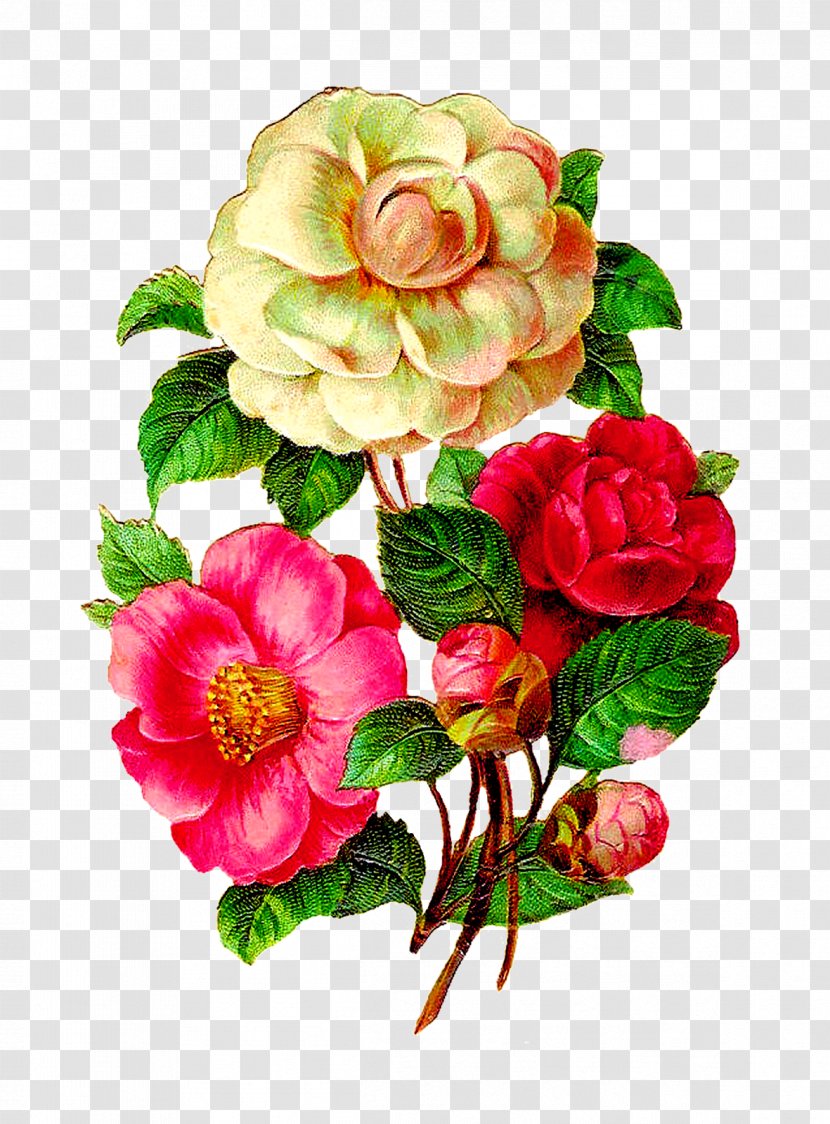 Flower Floral Design Clip Art - Bouquet - Vintage Transparent PNG