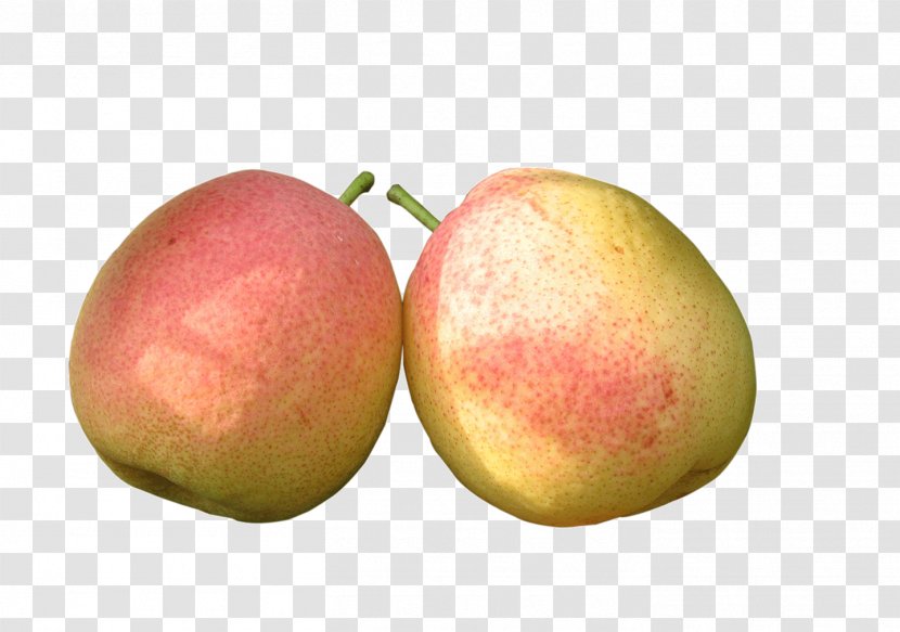 Pear Fruit Food Vegetable Transparent PNG