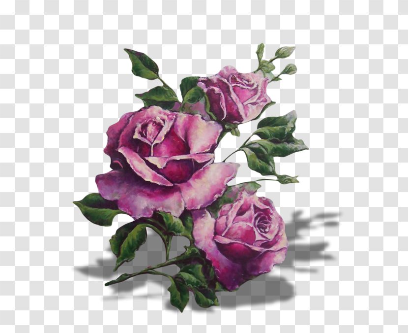 Purple Lavender Lilac Garden Roses Flower - Blue Transparent PNG