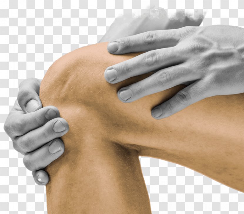 Joint Osteoarthritis Shoulder Problem Therapy - Flower - Health Transparent PNG