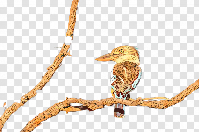 Bird Beak Branch Twig Wildlife Transparent PNG