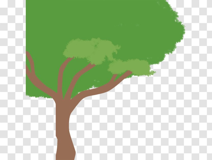 Culverhill School Photography Curriculum - Hill Tree Transparent PNG