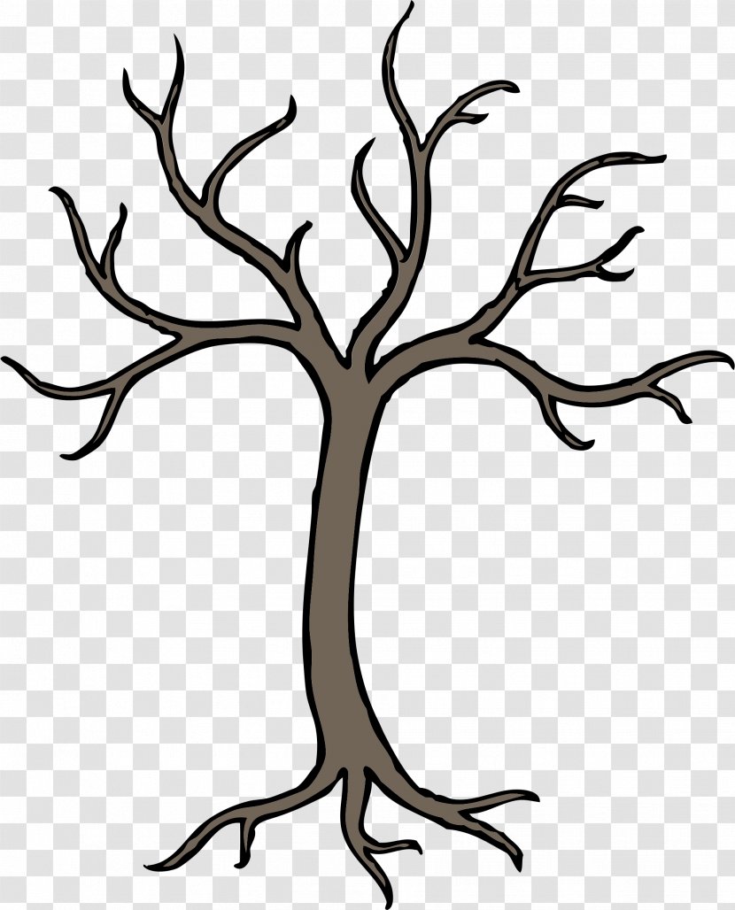 Branch Tree Trunk Clip Art - Root - House Transparent PNG