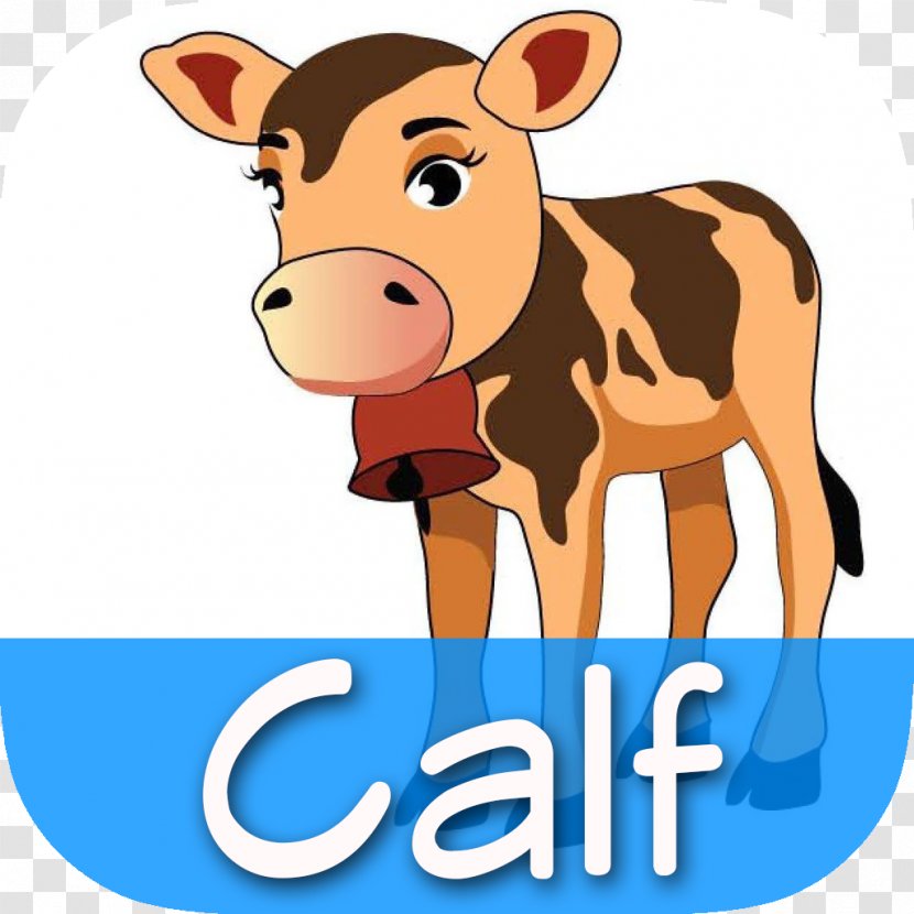 Dairy Cattle Calf Flashcard Horse - Like Mammal Transparent PNG
