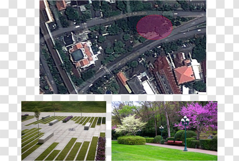 Stadium Urban Design Roof City - Grass Transparent PNG