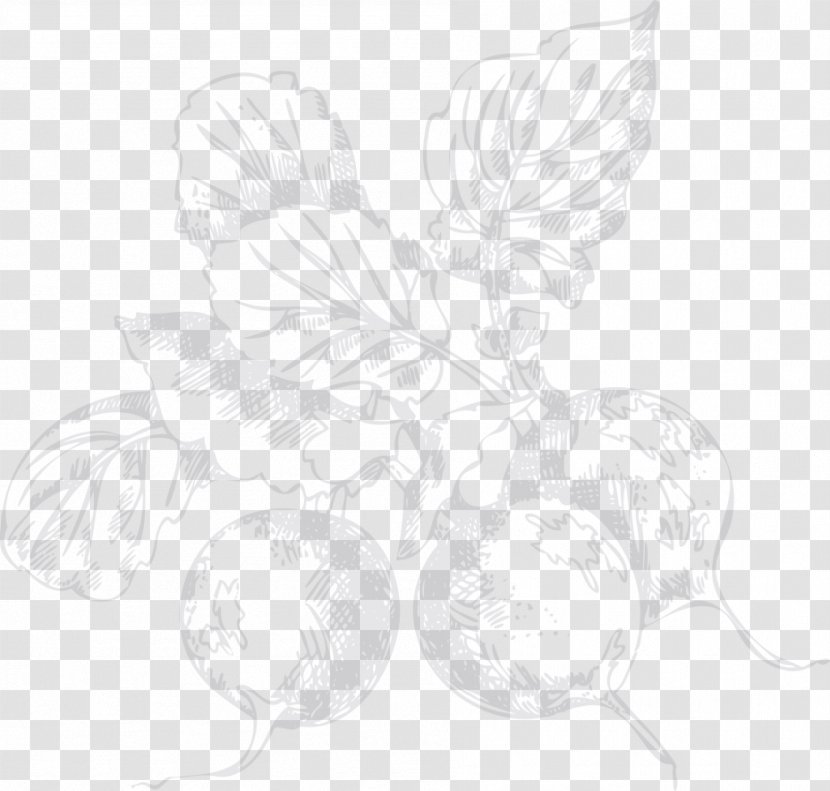 Petal White Line Art Leaf Sketch - Drawing Transparent PNG