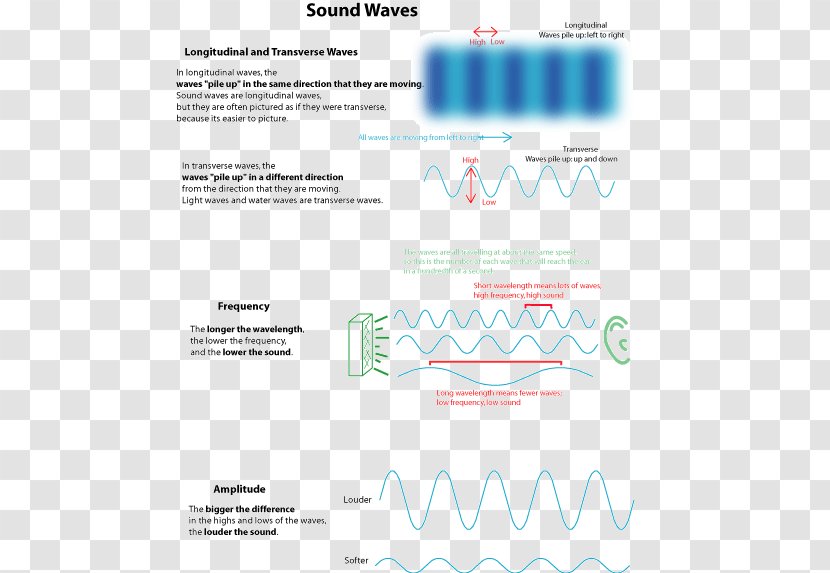 Waves, Sound And Light Worksheet - Physics - Third Grade Transparent PNG