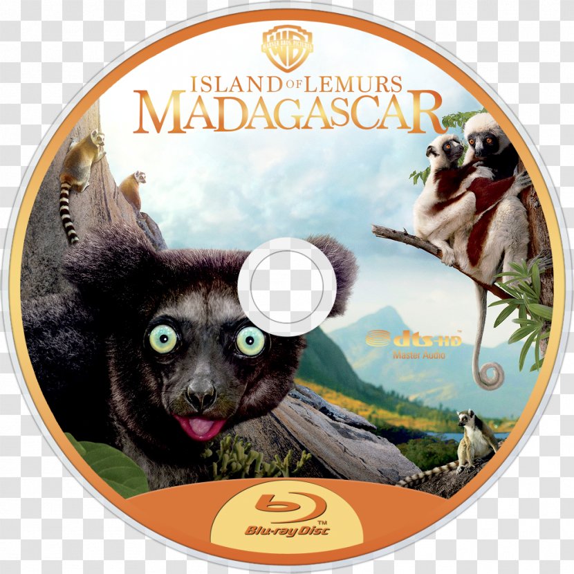 Lemurs Madagascar Documentary Film IMAX - Streaming Media - Movie Transparent PNG