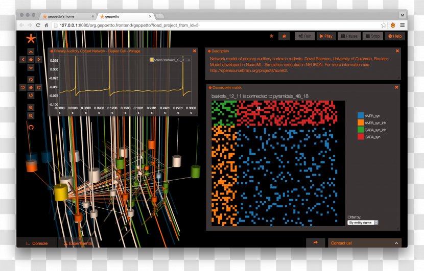 Human Brain Graphics Software Anatomy Neuroscience - Diagram Transparent PNG