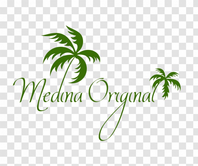 Logo Graphic Design Designer - Flowering Plant - Date Palm Transparent PNG