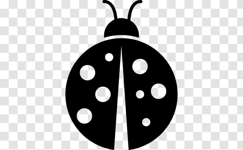 Beetle - Symbol - Photography Transparent PNG