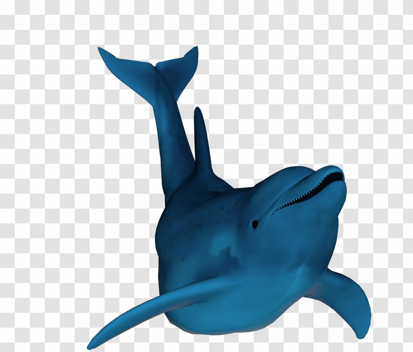 Common Bottlenose Dolphin Tucuxi Shark Cobalt Blue Transparent PNG