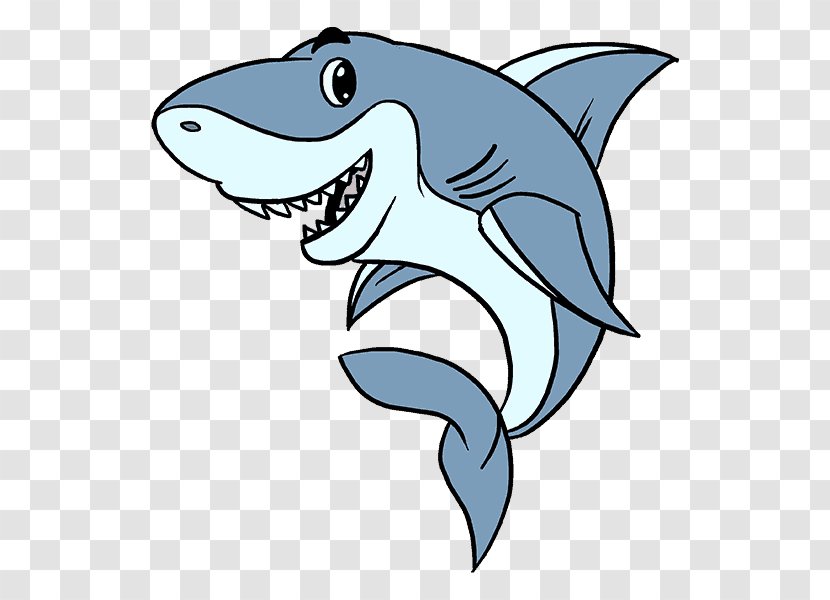 Great White Shark Drawing - Bull - Sharks Transparent PNG